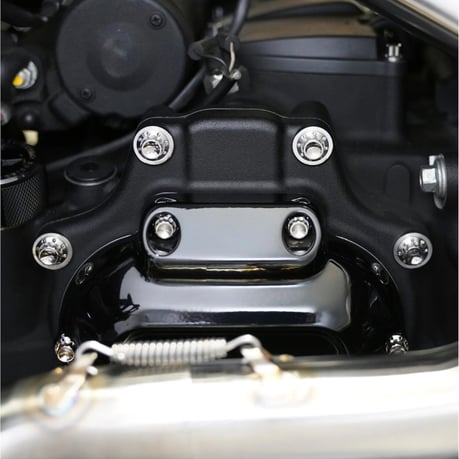 Arlen Ness, titanium transmission cover screw kit for Harley Davidson