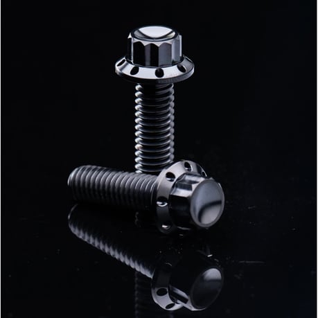 Arlen Ness, black titanium transmission cover screw kit for Harley Davidson