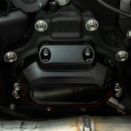 Arlen Ness, titanium transmission cover screw kit for Harley Davidson