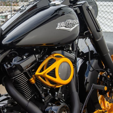 Arlen Ness, limpiador de aire Clear Tear, dorado