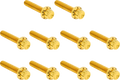 12-point titanium gold ignition cover bolts for Harley Davidson Twin Cam
