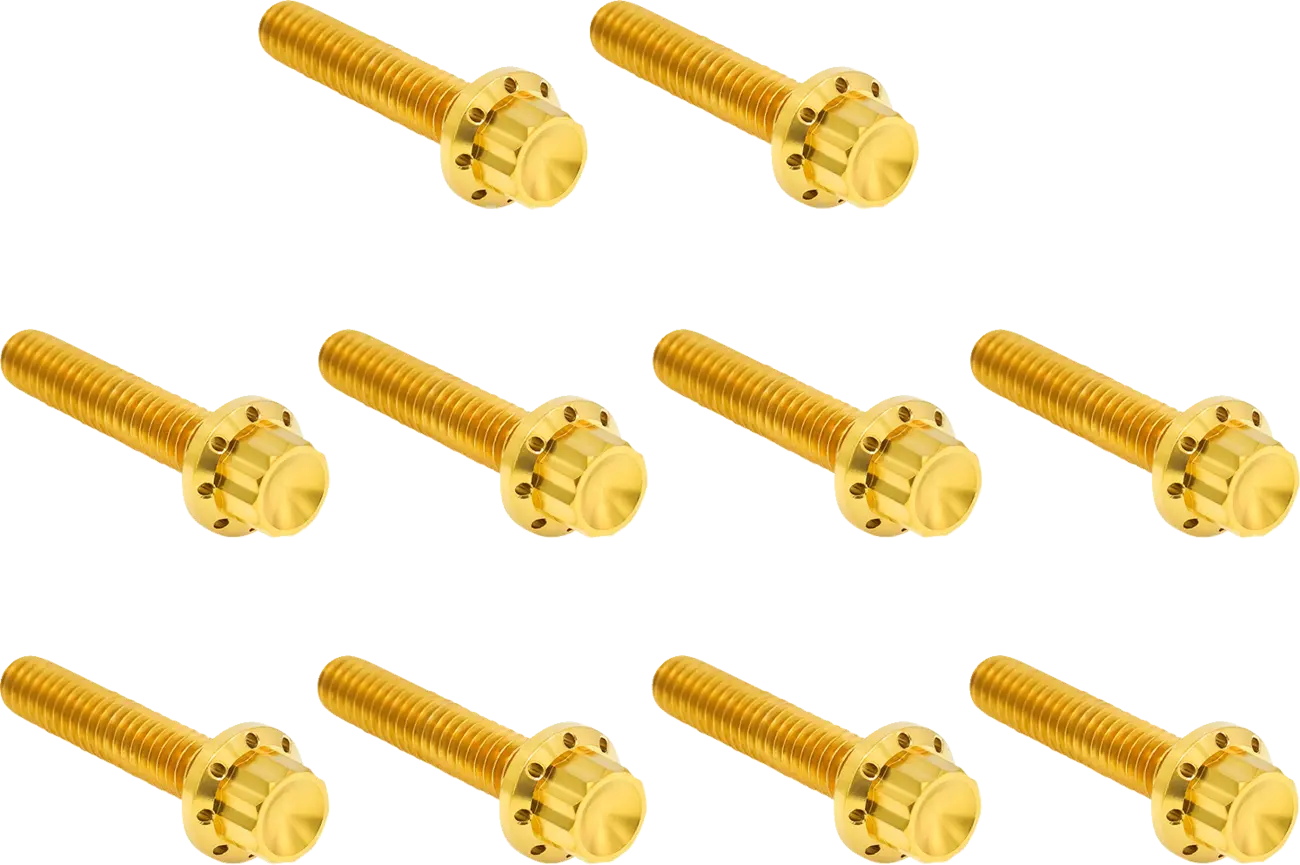12-point titanium gold ignition cover bolts for Harley Davidson Twin Cam