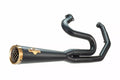 Exhaust for Harley-Davidson Zard Matte Black 2:1 Limited Edition 120º Hd-Touring M8 17-23