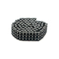 Tsubaki Endless Triple Row Primary Chain. 94 Links for Harley-Davidson