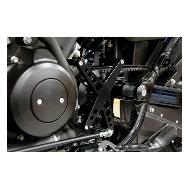 Protector De Polea Free Spirits X-Spider Para Harley-Davidson