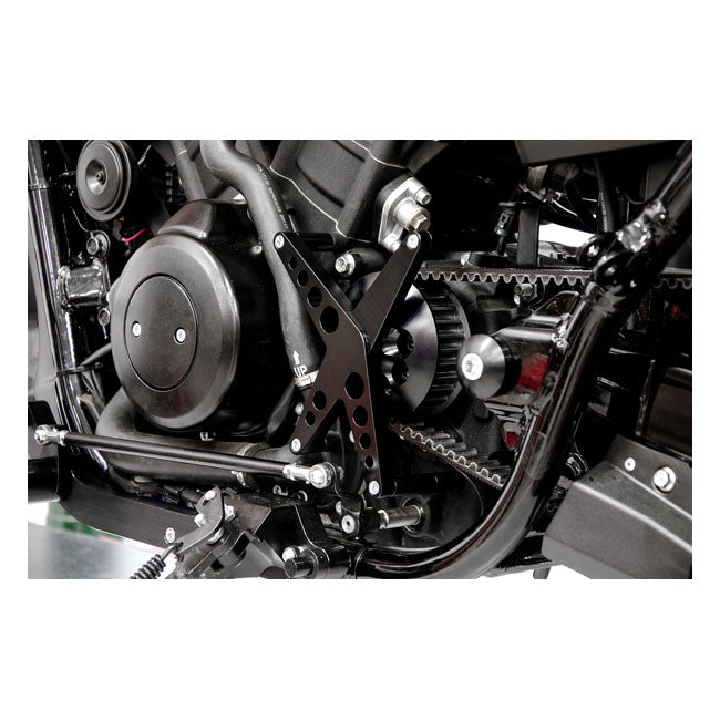 Protector De Polea Free Spirits X-Spider Para Harley-Davidson