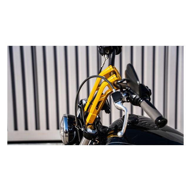 Phatbar 1-1/4" Lenker-Kit und 12" Gold Ops Riser für Harley Davidson