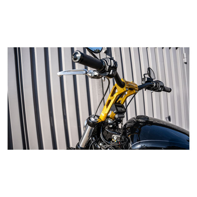 Phatbar 1-1/4" Lenker-Kit und 12" Gold Ops Riser für Harley Davidson