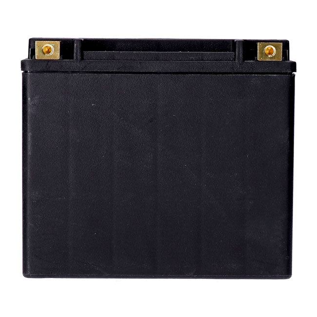 MCS, Standard Series - Sealed AGM Battery. 12 V, 20 Ah, 320 CCA for Harley-Davidson