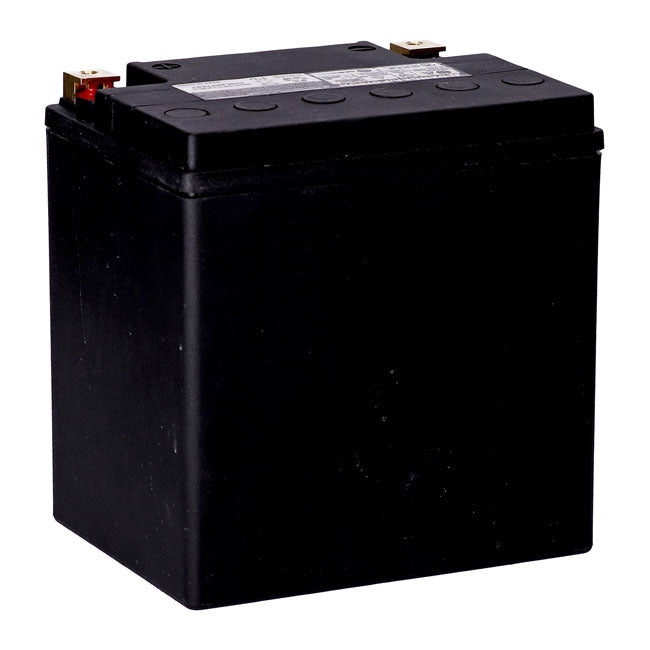 AGM-Batterie mit 450 CCA für Harley Davidson Touring