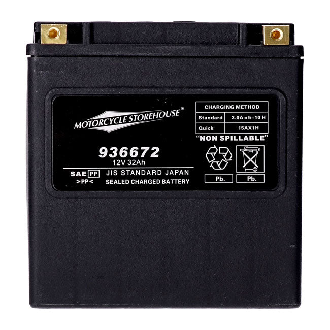 AGM-Batterie mit 450 CCA für Harley Davidson Touring