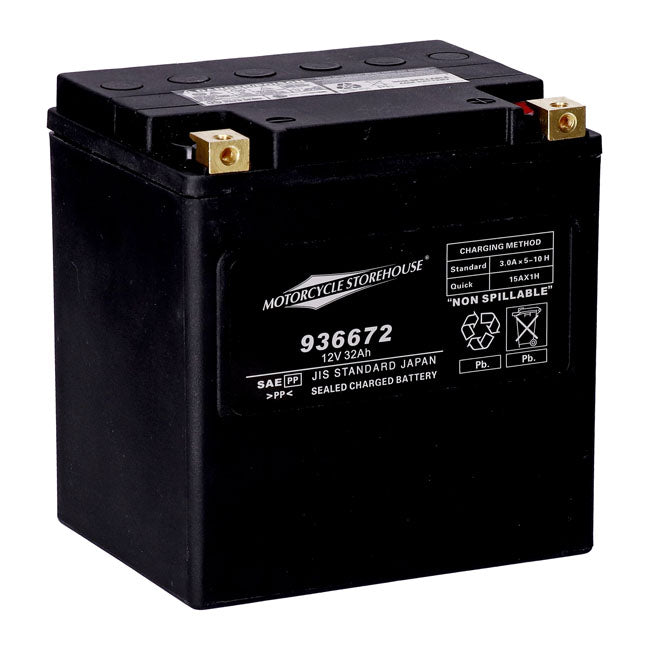 AGM-Batterie mit 450 CCA für Harley Davidson Touring