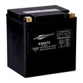 AGM-Batterie mit 450 CCA für Harley Davidson Touring