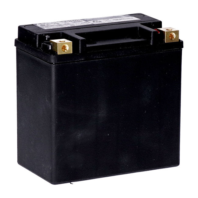 MCS, Serie Estándar - Batería Sellada AGM. 12 V,14 Ah,240 CCA Para Harley Davidson
