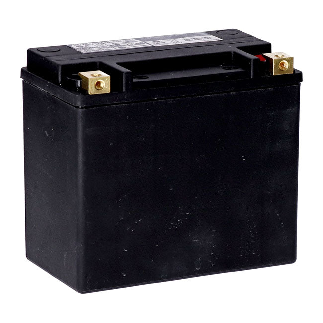 MCS, Standard Series - Sealed AGM Battery.12 V, 22 Ah, 325 CCA For Harley Davidson