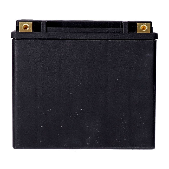 MCS, Standard Series - Sealed AGM Battery.12 V, 22 Ah, 325 CCA For Harley Davidson