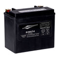 MCS, Standard Series - Sealed AGM Battery.12 V, 22 Ah, 325 CCA For Harley Davidson