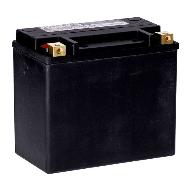 MCS, Serie Estándar - Batería Sellada AGM. 12 V,22 Ah,325 CCA Para Harley Davidson