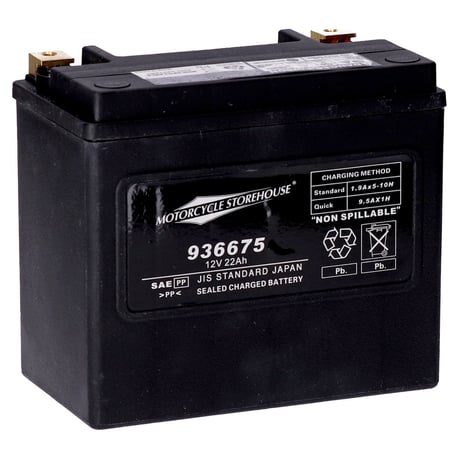 MCS, serie estándar - Batería sellada AGM. 12v, 22ah. 325cc