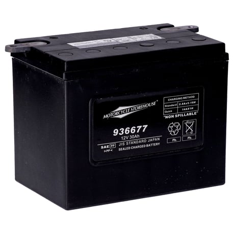 MCS, serie estándar - Batería sellada AGM. 12v, 30ah. 370cc