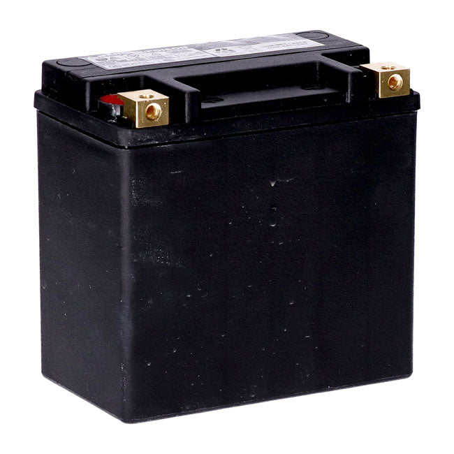 MCS, Serie Estándar - Batería Sellada AGM. 12 V, 14 Ah. 240 CCA Para Harley Davidson