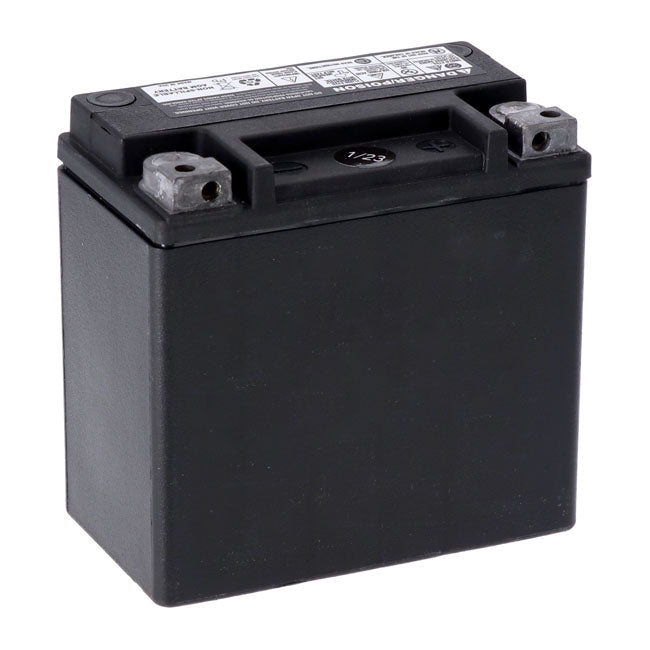AGM Revtech ETX14L Batterie für Harley-Davidson Sportster XL 2004-2021