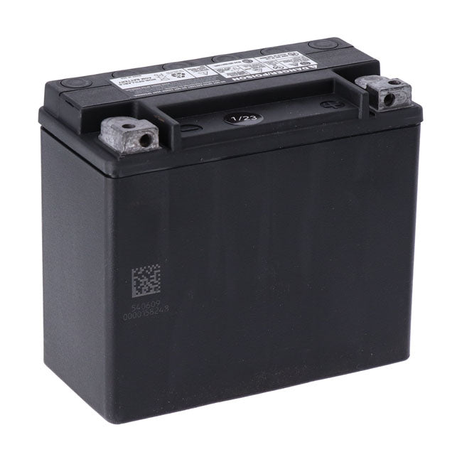 MCS, Serie Advanced- Batería Sellada AGM. 12 V,18 Ah,310 CCA Para Harley Davidson