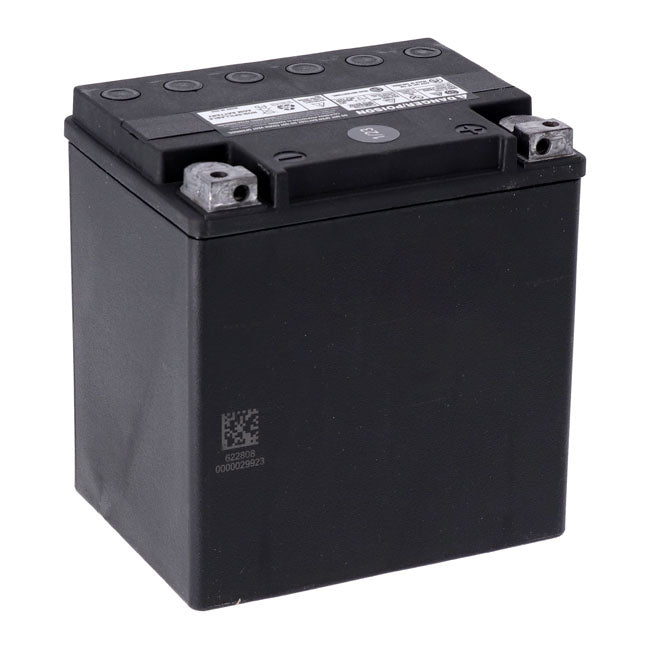 MCS Advance Series - Versiegelte AGM-Batterie. 12 V, 26 Ah, 400 CCA für Harley-Davidson