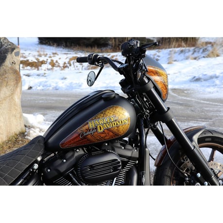Cult-Werk, dash cover. Gloss black