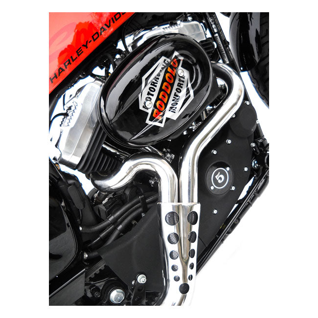 Zard, Escape Sport 2-1 für XL Sportster. Poliert