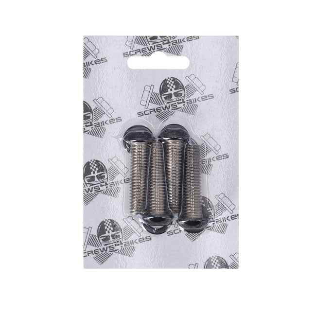 Kit De Tornillos Montaje Delantero Puntales Guardabarros Para Harley Davidson