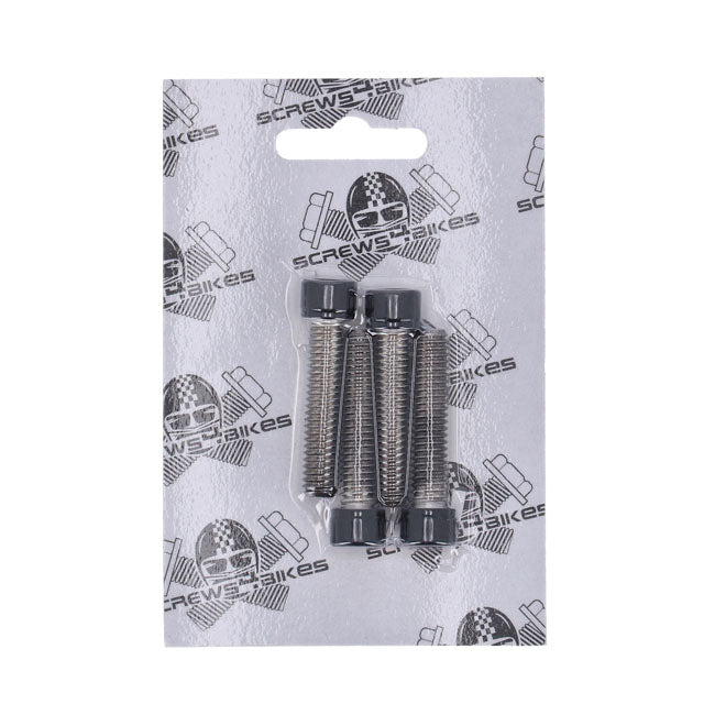 Screws4Bikes, Kit De Tornillos Guardabarros Delantero Para Harley Davidson