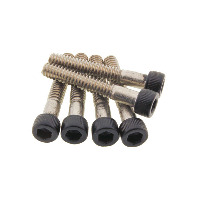 Fuel/Gas Cap Screw Kit for Harley Davidson