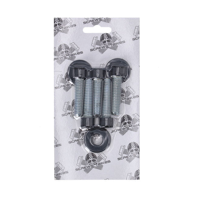 Screws4Bikes, Kit De Tornillos Polea Para Harley Davidson