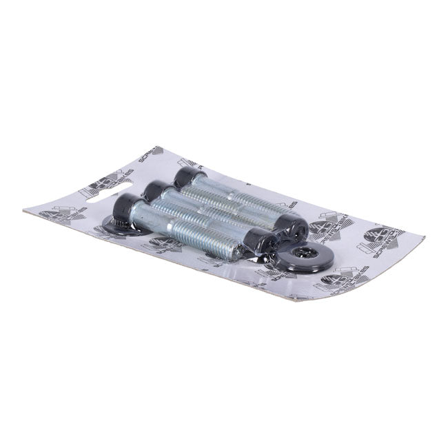 Screws4Bikes, Pulley Screw Kit for Harley Davidson