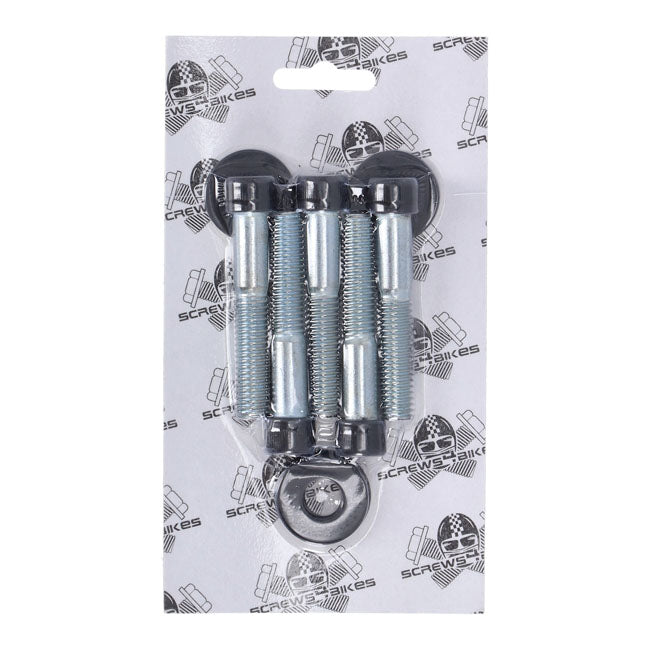 Screws4Bikes, Pulley Screw Kit for Harley Davidson