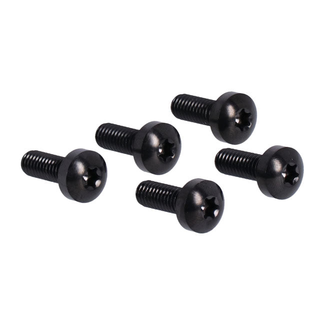 Front Brake Disc Bolt Kit (TITAN) for Harley Davidson