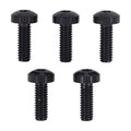Front Brake Disc Bolt Kit (TITAN) for Harley Davidson