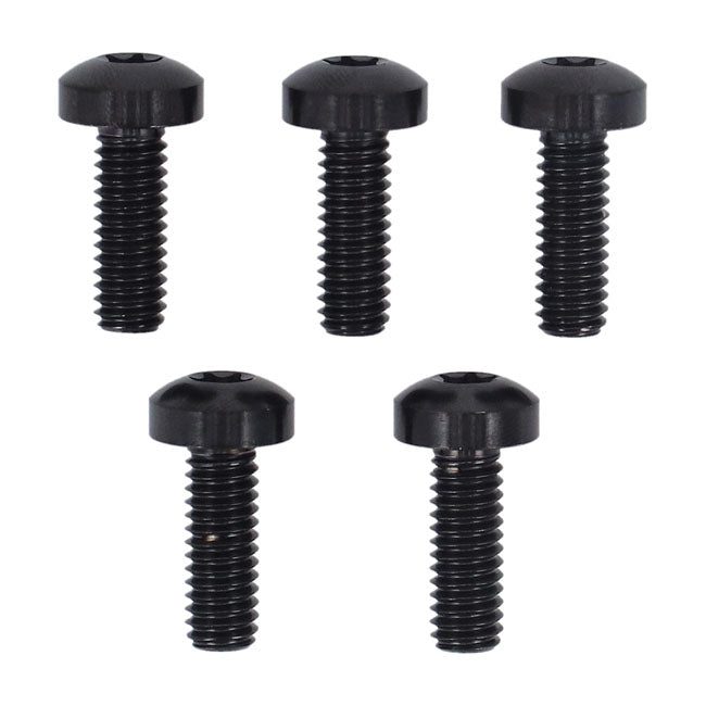 Front Brake Disc Bolt Kit (TITAN) for Harley Davidson
