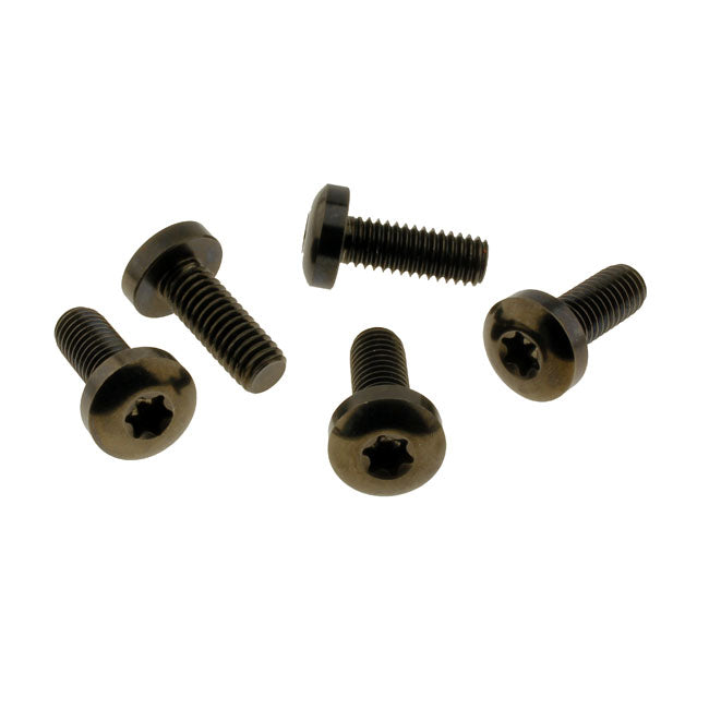 Kit De Tornillos Discos Freno Traseros (TITAN) Para Harley Davidson