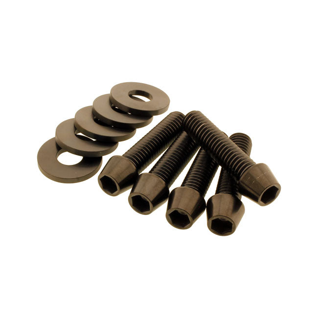 Screws4Bikes, Kit De Tornillos Polea Para Harley Davidson