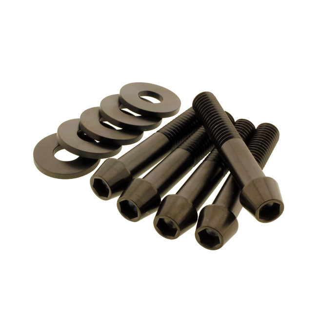 Screws4Bikes, Riemenscheiben-Schraubensatz für Harley Davidson