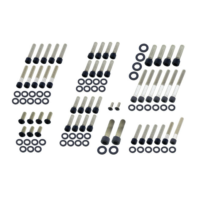 Screws4Bikes, Kit De Tornillos De Motor Para Harley Davidson