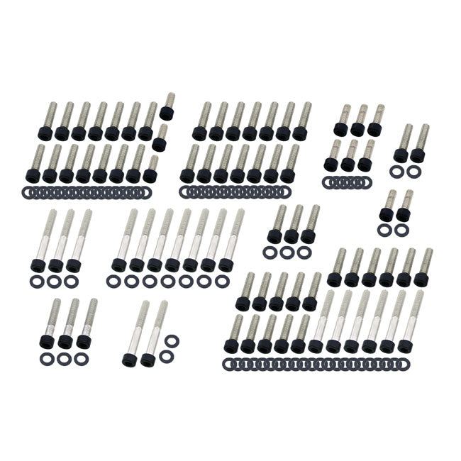 Screws4Bikes, Kit De Tornillos De Motor Para Harley Davidson