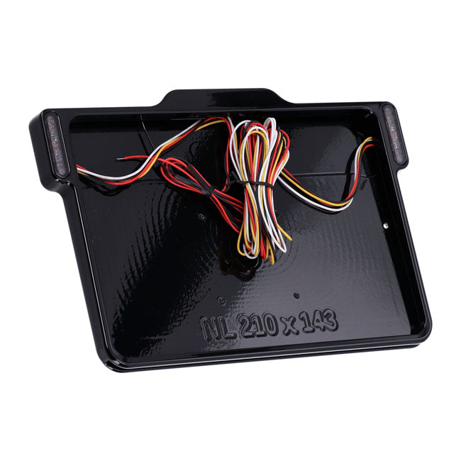 DMP, Marco Para Matrícula 3 En 1, 3.0 NL BE Para Harley Davidson