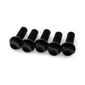 Kraus 12-Point Titanium Bolt Kit for Harley-Davidson