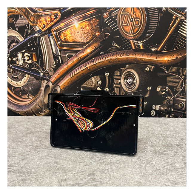 DMP, Gloss Black 3.0 License Plate Frame France For Harley Davidson