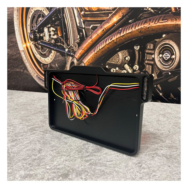 DMP, License Plate Frame 3.0 Matte Black France For Harley Davidson