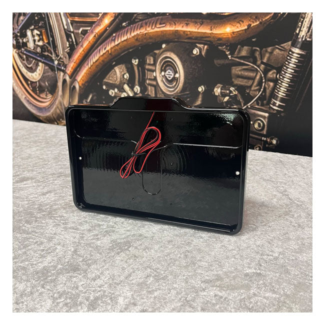 DMP, License Plate Frame 5.0 FR License Plate Light Only. GL for Harley Davidson