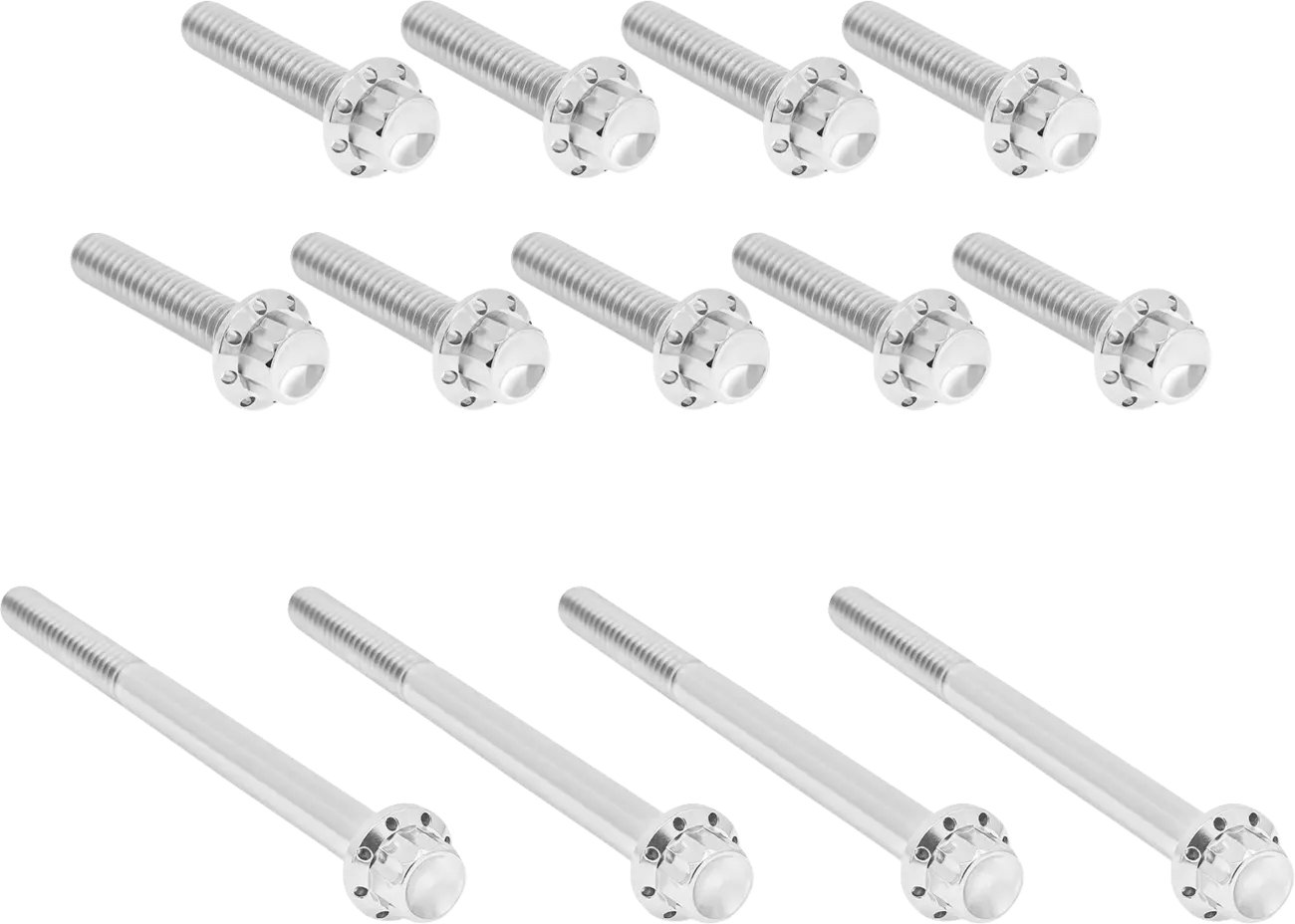 Outer Primary Cover Bolts 12-Point Titanium Plated for Harley Davidson Twin Cam